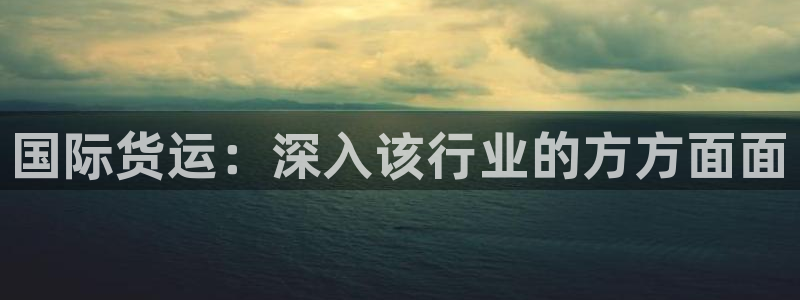 尊龙凯时城娱乐：国际货运：深入该行业的方方面面
