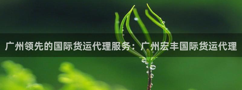 尊龙d88官网登录下载：广州领先的国际货运代理服务：广州