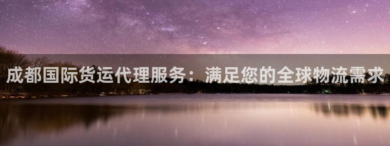 尊龙凯时捕鱼游戏能玩吗：成都国际货运代理服务：满足您的全