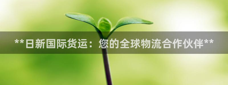 尊龙网址苹果版下载：**日新国际货运：您的全球物流合作伙