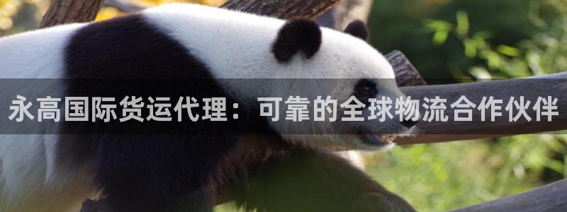 尊龙凯时提款冻卡吗：永高国际货运代理：可靠的全球物流合作