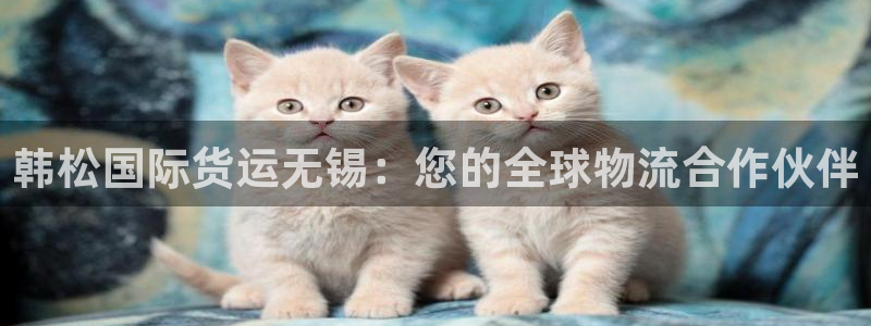 尊龙凯时为什么不封：韩松国际货运无锡：您的全球物流合作伙