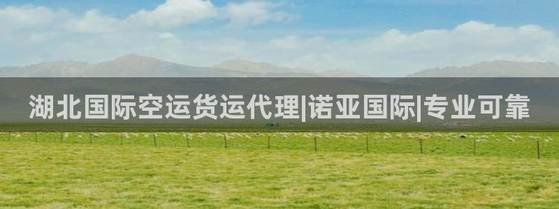 尊龙新版官网网页版
