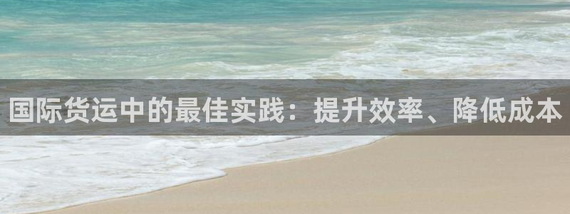 尊龙凯时人生就是搏技术实力：国际货运中的最佳实践：提升效
