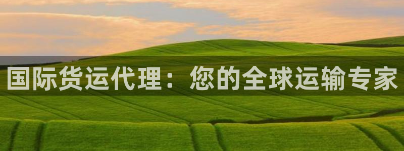 尊龙凯时里面的洗码：国际货运代理：您的全球运输专家